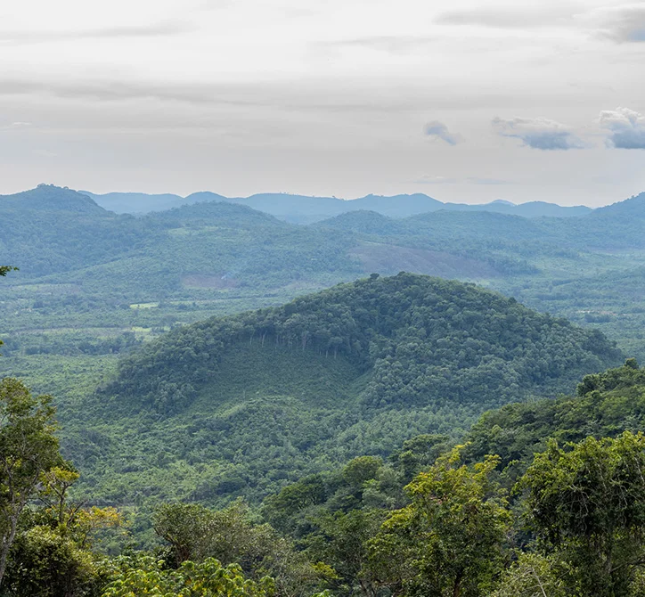 Mountain landscape view