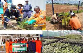 Environmental initiative